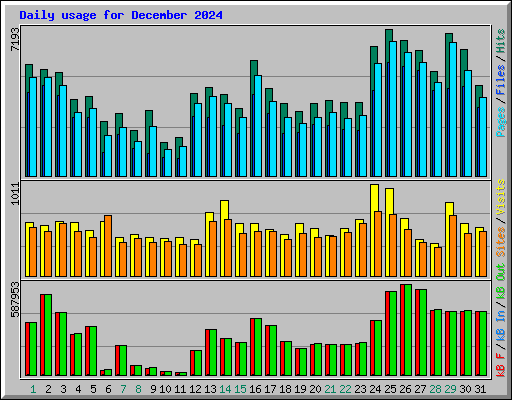 Daily usage for December 2024