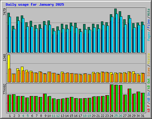 Daily usage for January 2025