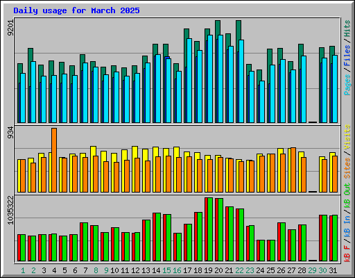 Daily usage for March 2025