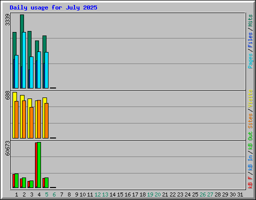 Daily usage for July 2025