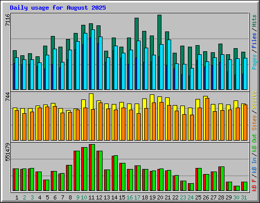 Daily usage for August 2025