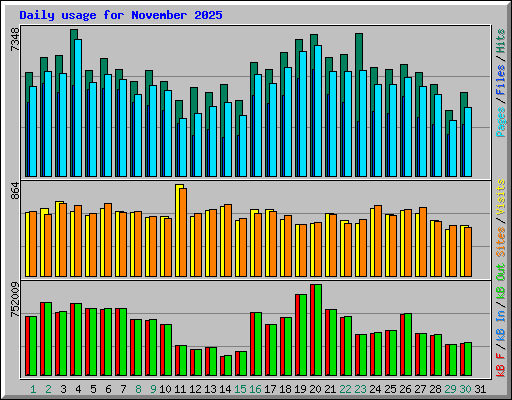 Daily usage for November 2025