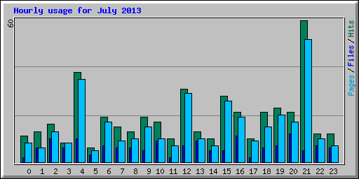 Hourly usage for July 2013