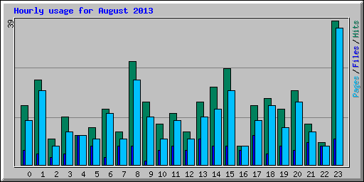 Hourly usage for August 2013