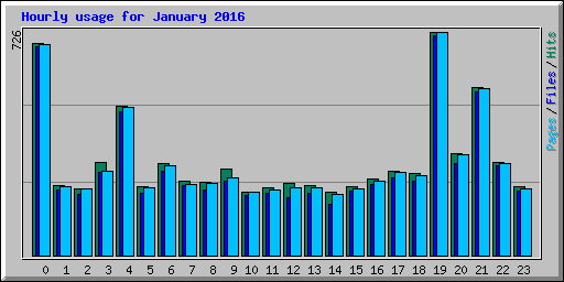 Hourly usage for January 2016