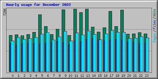 Hourly usage for December 2022