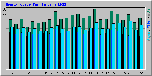 Hourly usage for January 2023
