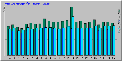 Hourly usage for March 2023