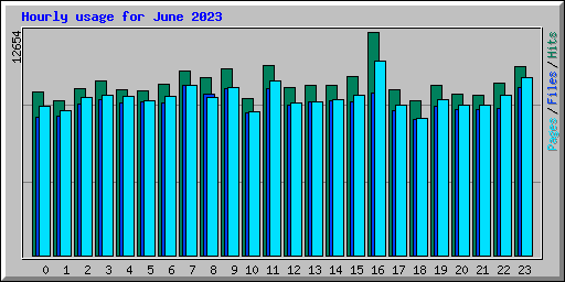 Hourly usage for June 2023