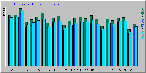 Hourly usage for August 2023