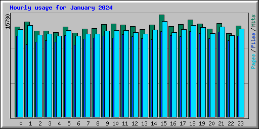 Hourly usage for January 2024
