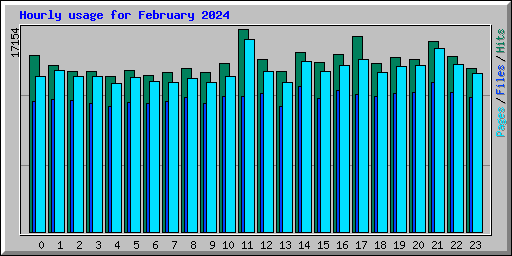 Hourly usage for February 2024