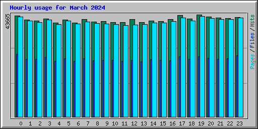 Hourly usage for March 2024