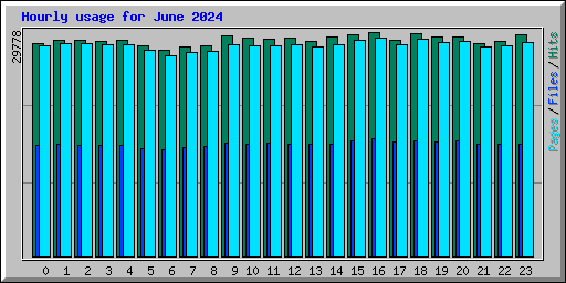 Hourly usage for June 2024