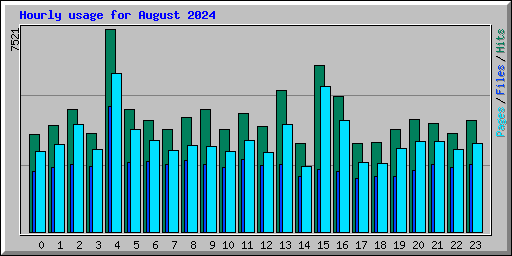 Hourly usage for August 2024