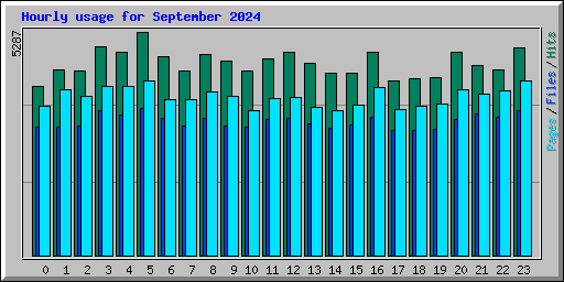 Hourly usage for September 2024