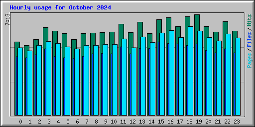 Hourly usage for October 2024