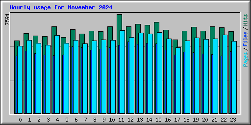 Hourly usage for November 2024