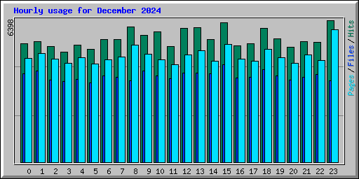 Hourly usage for December 2024