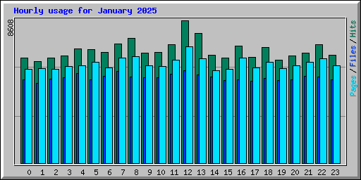Hourly usage for January 2025