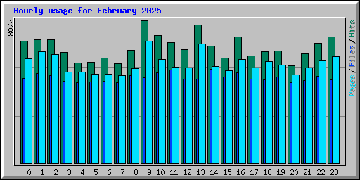 Hourly usage for February 2025