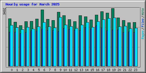 Hourly usage for March 2025