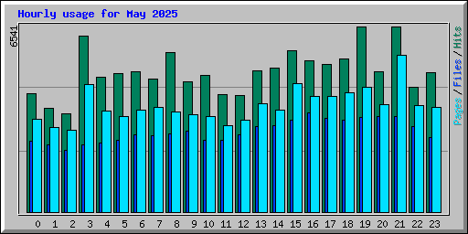 Hourly usage for May 2025