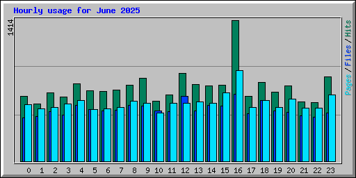 Hourly usage for June 2025