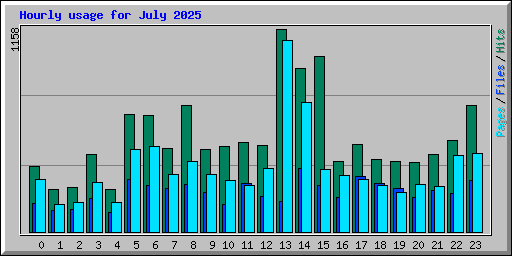 Hourly usage for July 2025