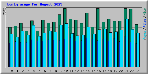 Hourly usage for August 2025