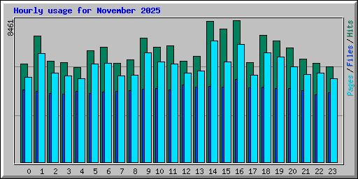 Hourly usage for November 2025