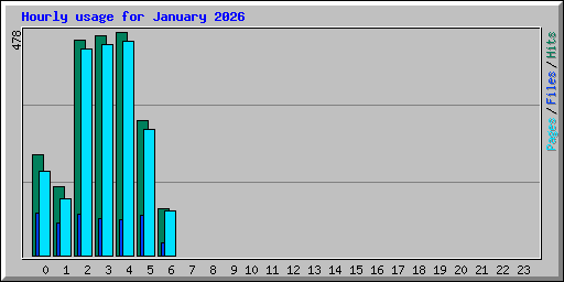 Hourly usage for January 2026