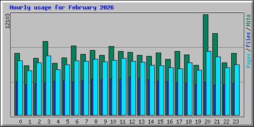Hourly usage for February 2026